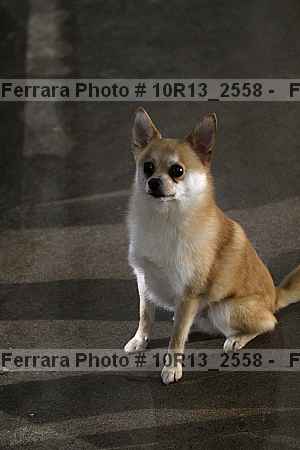 Proof 10r13_2558