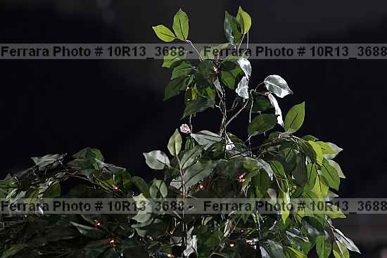 Proof 10r13_3688
