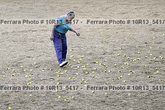 Proof 10r13_5417