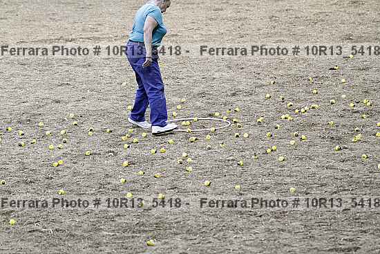 Proof 10r13_5418