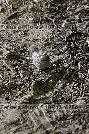 Proof 10r13_6206