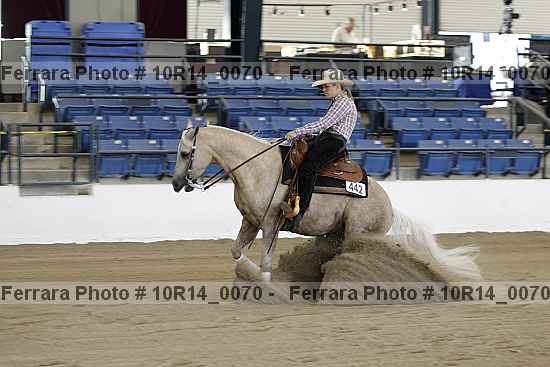 Proof 10r14_0070