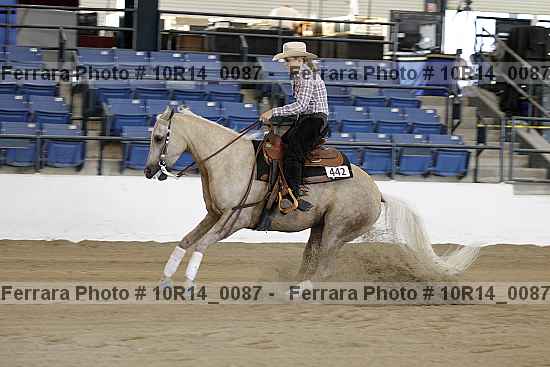 Proof 10r14_0087