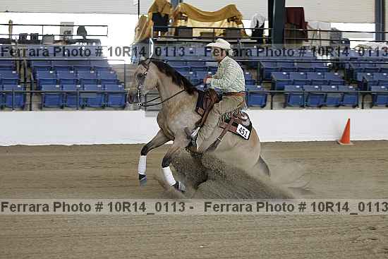 Proof 10r14_0113