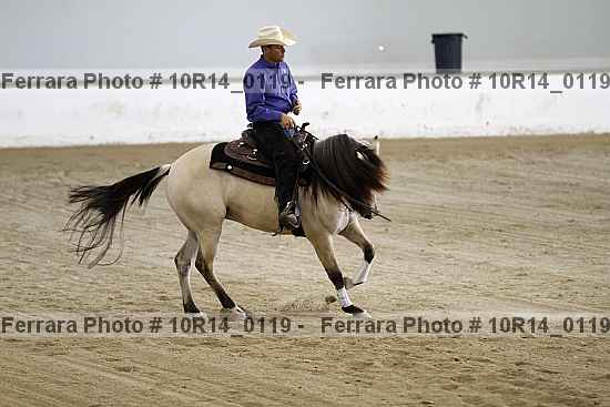 Proof 10r14_0119