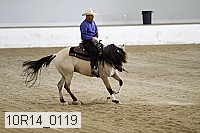 10r14_0119 proof