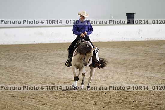 Proof 10r14_0120