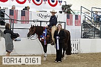 10r14_0161 proof