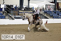 10r14_0167 proof