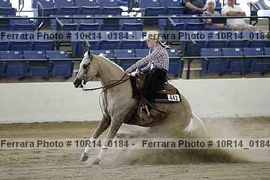 Proof 10r14_0184