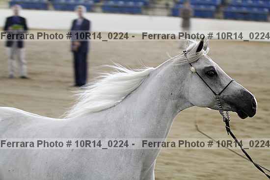 Proof 10r14_0224