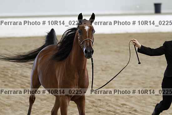 Proof 10r14_0225