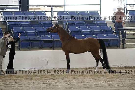 Proof 10r14_0231
