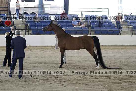 Proof 10r14_0232