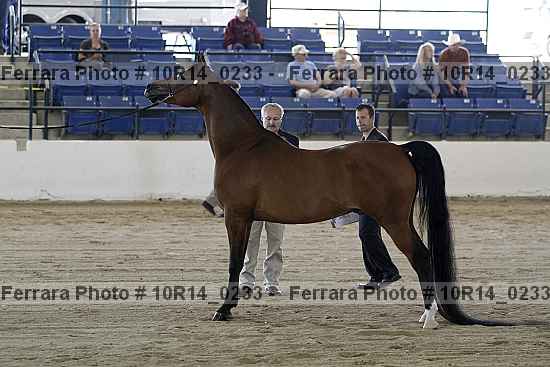 Proof 10r14_0233