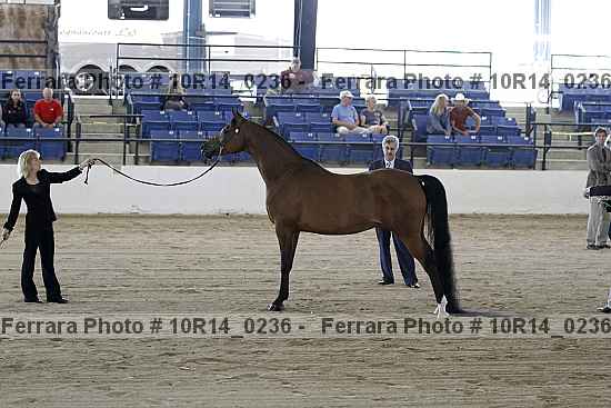 Proof 10r14_0236