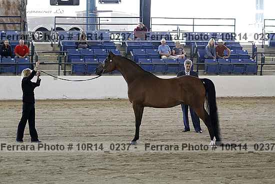Proof 10r14_0237