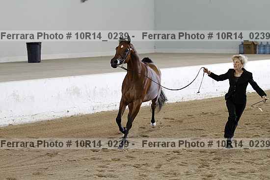 Proof 10r14_0239