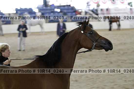 Proof 10r14_0240
