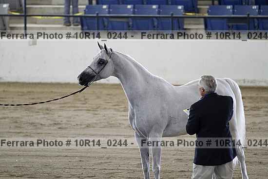 Proof 10r14_0244