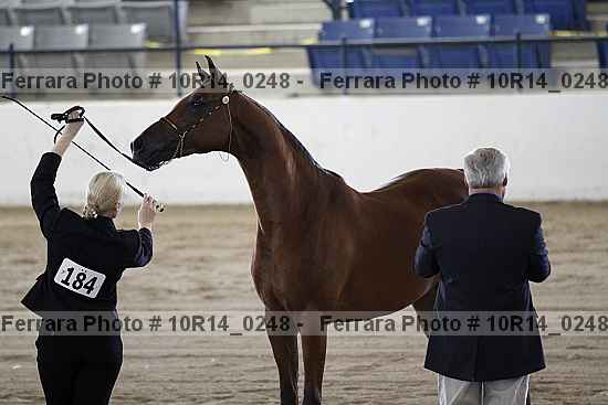 Proof 10r14_0248