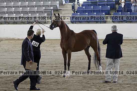 Proof 10r14_0249