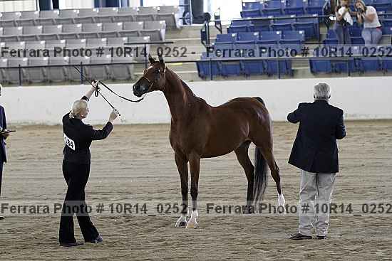 Proof 10r14_0252