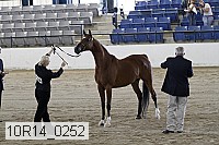10r14_0252 proof