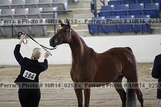 Proof 10r14_0253