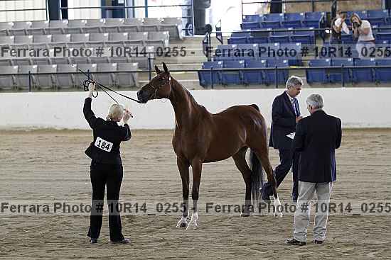 Proof 10r14_0255