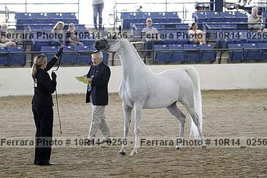 Proof 10r14_0256