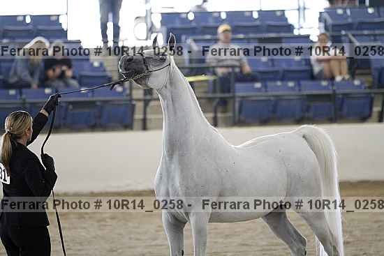 Proof 10r14_0258