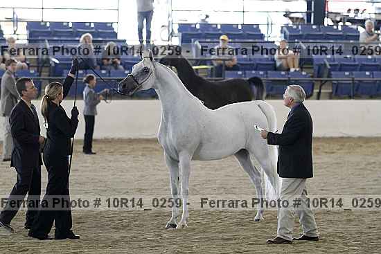 Proof 10r14_0259