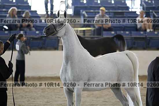 Proof 10r14_0260