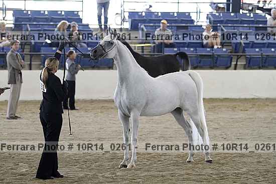 Proof 10r14_0261