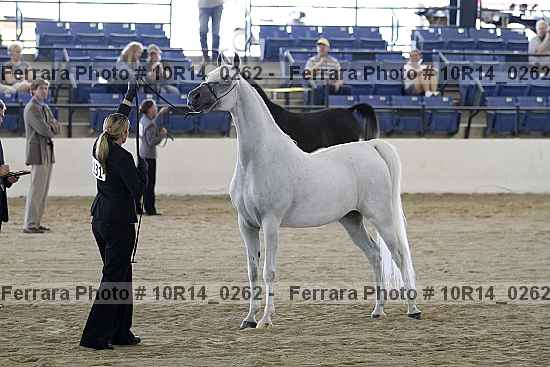 Proof 10r14_0262