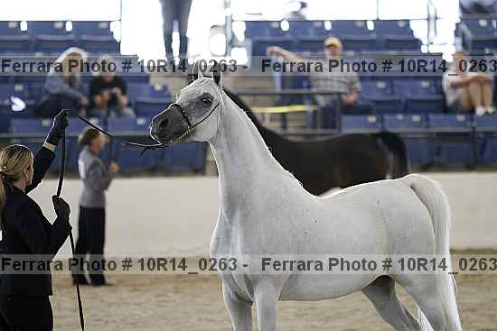 Proof 10r14_0263