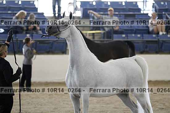 Proof 10r14_0264