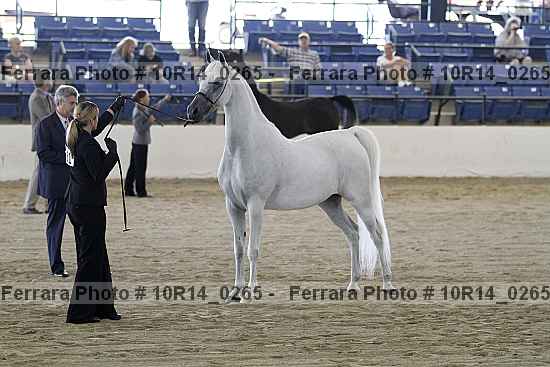 Proof 10r14_0265