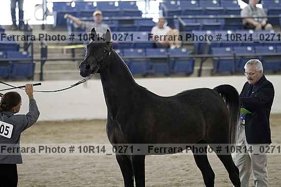 Proof 10r14_0271