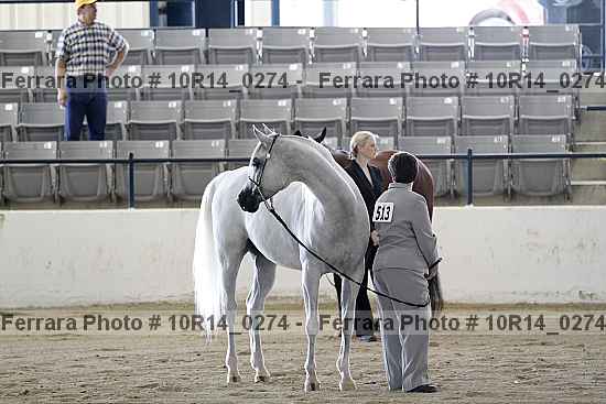Proof 10r14_0274