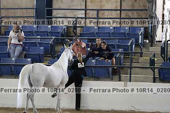 Proof 10r14_0280