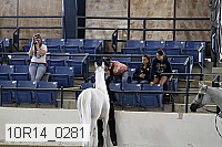 10r14_0281 proof