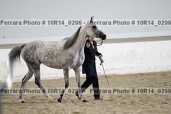 Proof 10r14_0296