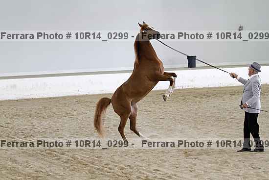 Proof 10r14_0299