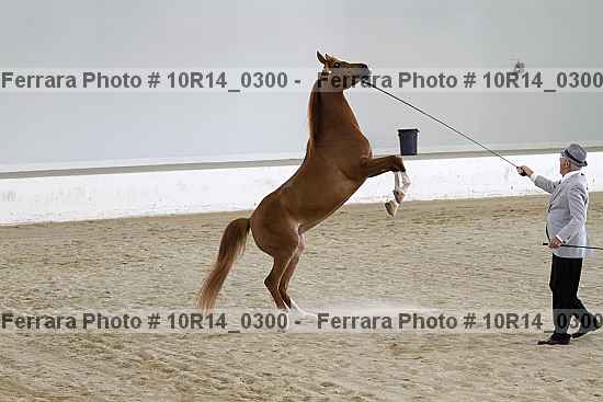 Proof 10r14_0300