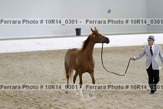 Proof 10r14_0301