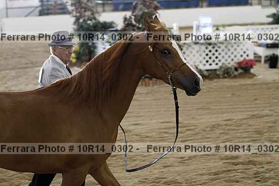 Proof 10r14_0302