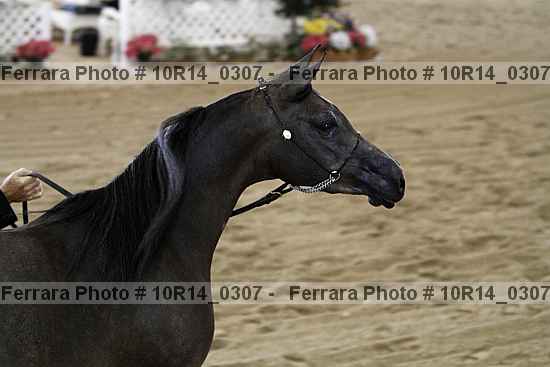 Proof 10r14_0307