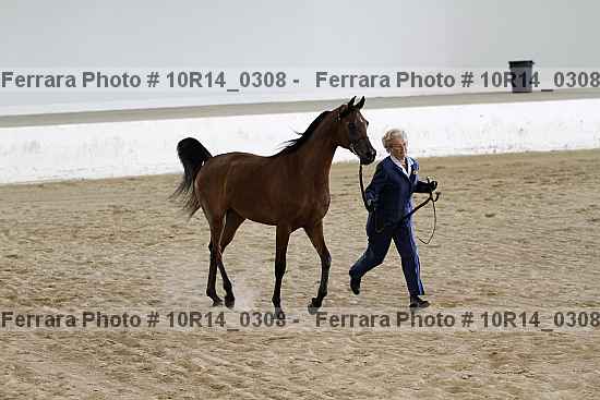 Proof 10r14_0308